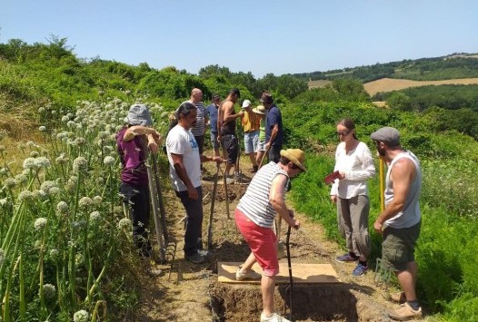 Basic Course Biointensive Agriculture