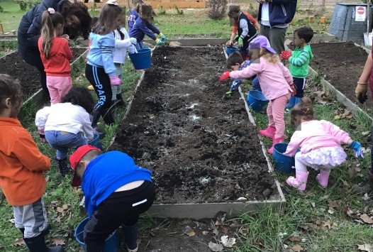 Trabajos en los colegios