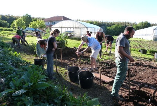 Xornadas sobre cultivo biointensivo