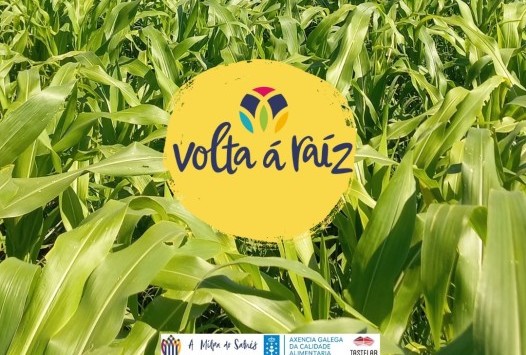 Project Volta á Raíz