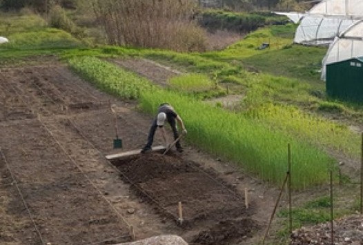 Taller de cultivo biointensivo de alimentos