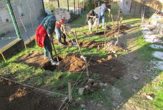 Preparando las camas